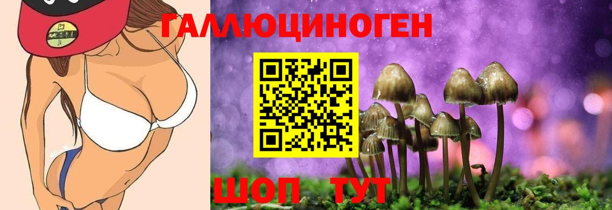 Псилоцибиновые грибы ЛСД  Вход с VPN  где продают наркотики  Кулебаки 